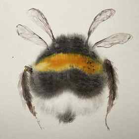 Fluffy Bumblebee thumb