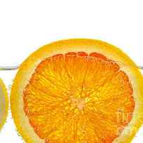 Orange lemon and lime slices in water 1 by Elena Elisseeva
