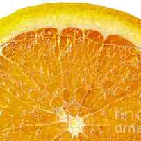 Orange in water by Elena Elisseeva
