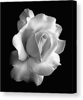 Black And White Flower Canvas Prints