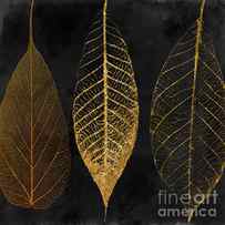 Fallen Gold II Autumn Leaves by Mindy Sommers
