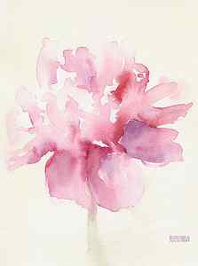 Wall Art - Painting - Pink Peony Watercolor Paintings of Flowers by Beverly Brown