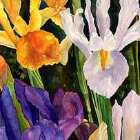 Irises in Bloom by Anne Gifford