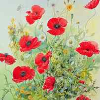 Poppies and Mayweed by John Gubbins