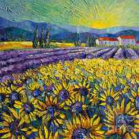 SUNFLOWERS AND LAVENDER FIELD - THE COLORS OF PROVENCE Modern Impressionist Palette Knife Painting by Mona Edulesco