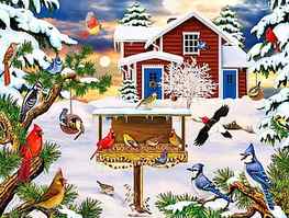 Winter breakfast, winter, birds, cirds, birdhouse, nice, holiday, snow, friends, cardinals, frost, snowy, scene, frozen, mood, house, beautiful, tree, breakfast, pretty, christmas, bufet, branches, cottage, joy, lovely, ice HD wallpaper