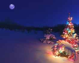 Winter Wonderland: snowy winter scenes & Christmas trees, christmas wonderland HD wallpaper