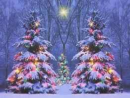 5 Christmas Winter Scenes, christmas wintery scenes HD wallpaper