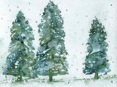 Wall Art - Painting - Three Snowy Spruce Trees by Dawn Derman