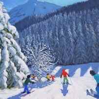 Snow Covered Trees by Andrew Macara