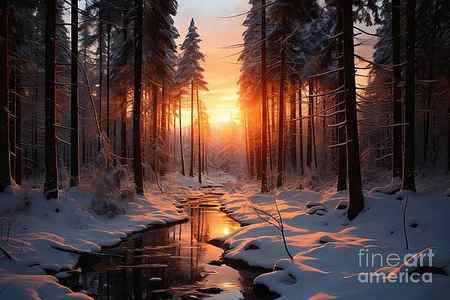 Wall Art - Painting - premium Sunset in the wood in winter period by N Akkash