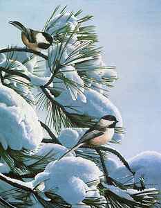 Wall Art - Painting - Snow On The Pine - Chickadees by Ron Parker