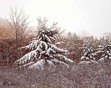 Wall Art - Painting - First Snow by David Knowlton