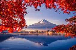 Colorful autumn season, fall, colorful, red, autumn, japon, view, bonito, Fuji, lake, mountain, tree, leaves, season, branches, reflection, HD wallpaper