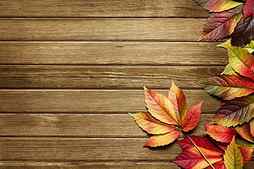 Autumn background, pretty, fall, autumn, lovely, falling, background, colors, bonito, leaves, nice, wooden, HD wallpaper