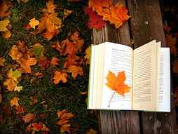 Book and autumn leaves, pretty, colorful, fall, autumn, lovely, pages, falling, book, bonito, foliage, leaves, nice, season, HD wallpaper