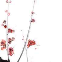 Sakura Cherry Blossom Painting, Plum Blossom Flower Painting, Chinese Cherry Blossom Poster by Mariusz Szmerdt