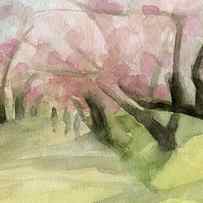Watercolor Painting of Cherry Blossom Trees in Central Park NYC by Beverly Brown