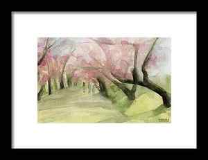 Cherry Blossom Tree Framed Prints