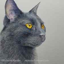 WIP black cat in watercolor by rebecca rhodes