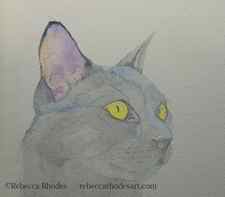 WIP black cat in watercolor by rebecca rhodes