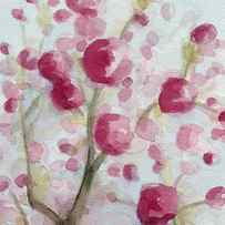 Watercolor Painting of Pink Cherry Blossoms by Beverly Brown