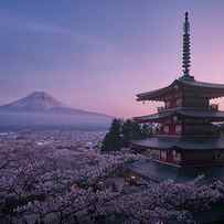 Mt Fuji Sakura by Javier De La Torre