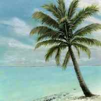 Palm Tree Study by Cecilia Brendel