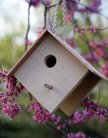 Wooden birdhouse plans