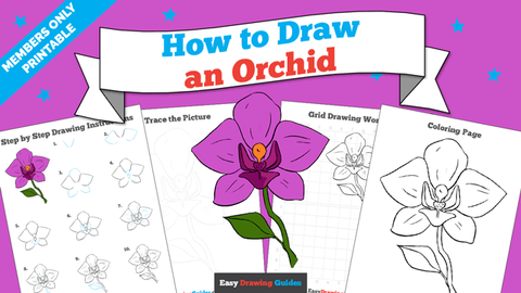 Printables thumbnail: How to draw an Orchid