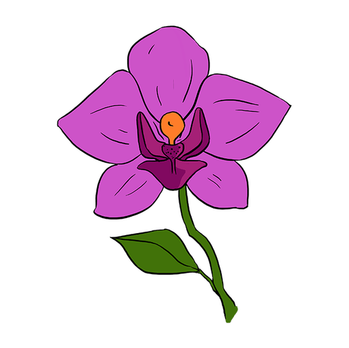 Complete Orchid drawing