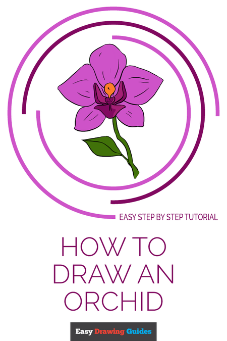 How to Draw an Orchid | Share to Pinterest
