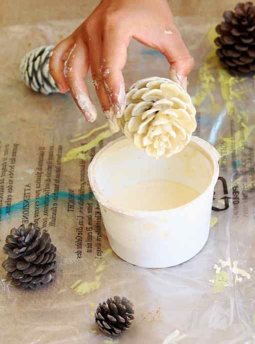 dipping pine cone in white wash