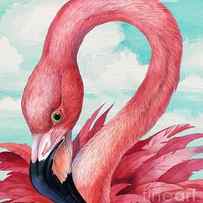 Fab Flamingo by Paul Brent