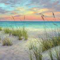 Colorful Morning SeaOats by Laurie Snow Hein