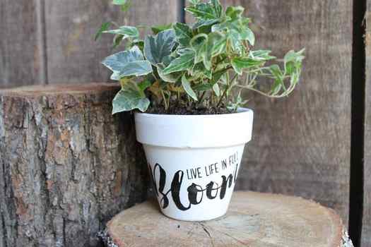This flower pot painting project is super easy and so fun! 