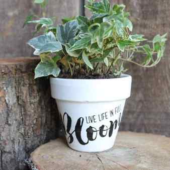 Flower pot painting made easy with Chalk Couture! It has never been easier to decorate your flower pots for spring and summer! These make great gifts for Mother