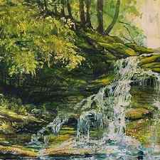 Waterfall in the Woods by Joy Nichols
