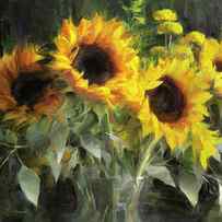 Sunflower Quartet by Anna Rose Bain