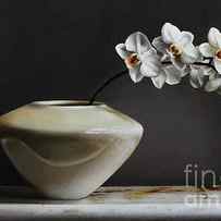 WHITE ORCHIDS by Lawrence Preston