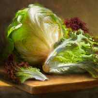 Lettuce by Robert Papp