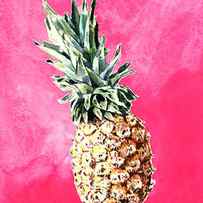 Pink Pineapple Bright Fruit Still Life Healthy Living Yoga Inspiration Tropical Island Kawaii Cute by Laura Row