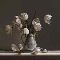 WHITE TULIPS by Lawrence Preston