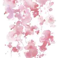 Cascading Petals II Pink by Danhui Nai
