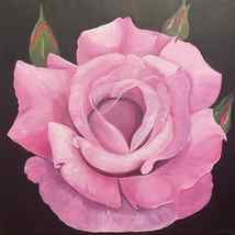 Pink rose on black background, Nataliia Krykun