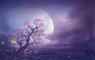 Pink Moon Fantasy Art, cherry blossoms painting, Art And Creative HD wallpaper