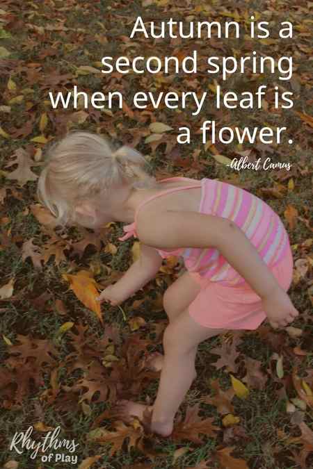 Preserve fall leaves 