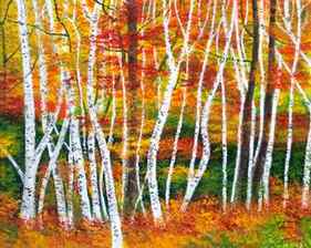 Birch Forest thumb