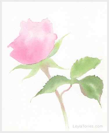 Rose in Watercolor Painting Step 2