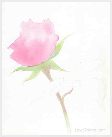 Rose in Watercolor Painting Step 1